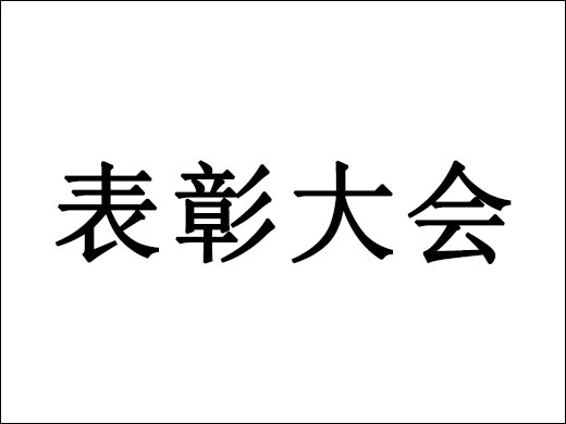 公司召开2008年度表彰大会